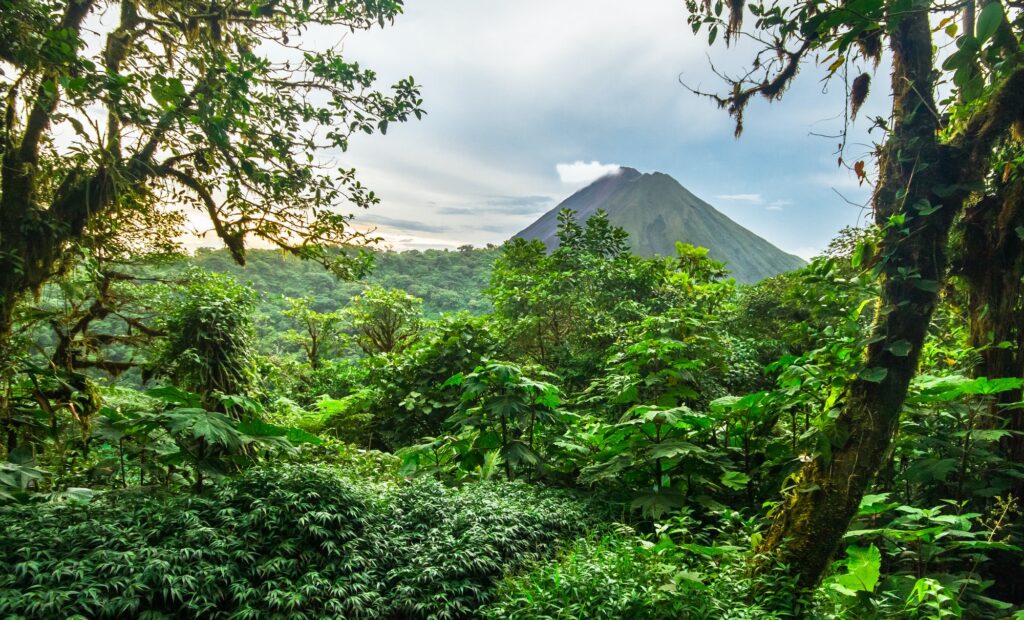 Volcan Arenal Among Dense Jungle in Costa Rica
